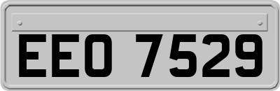 EEO7529