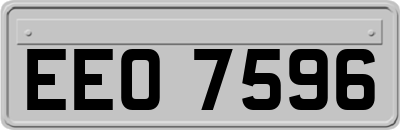 EEO7596