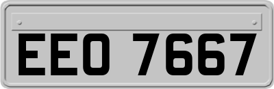 EEO7667