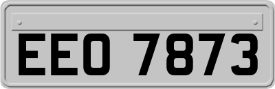 EEO7873