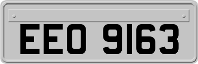 EEO9163