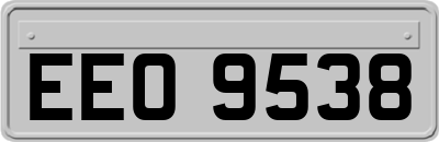 EEO9538