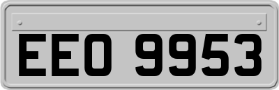 EEO9953