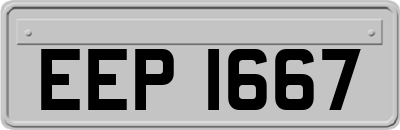 EEP1667