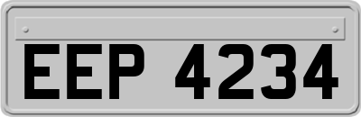 EEP4234
