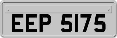 EEP5175