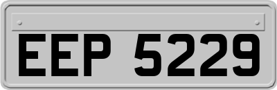 EEP5229