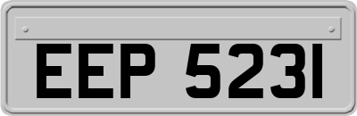 EEP5231