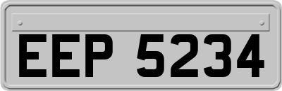 EEP5234