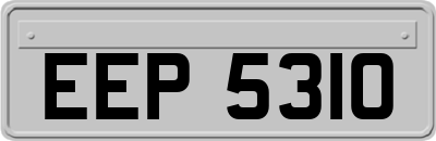 EEP5310