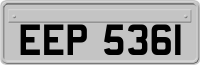 EEP5361