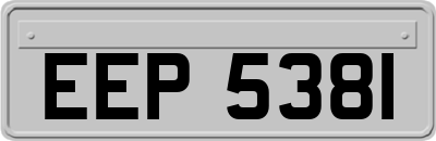 EEP5381