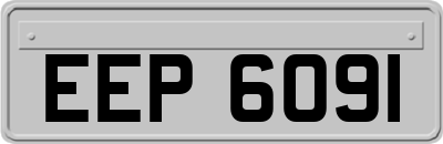 EEP6091