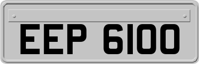 EEP6100