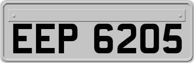EEP6205