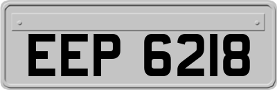 EEP6218