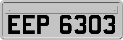 EEP6303