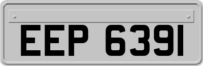 EEP6391