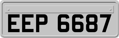 EEP6687