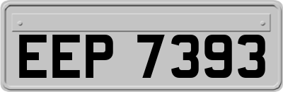 EEP7393