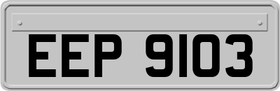 EEP9103
