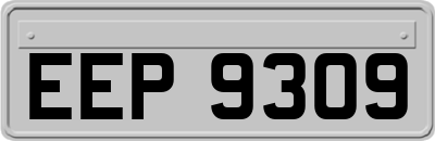 EEP9309