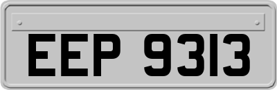 EEP9313