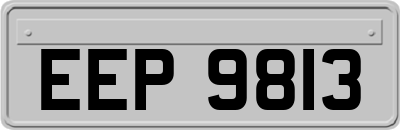 EEP9813