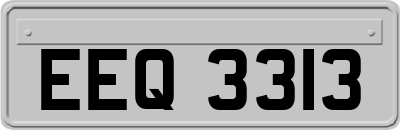 EEQ3313
