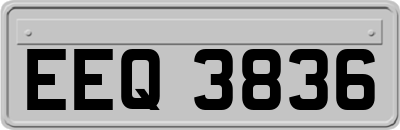 EEQ3836