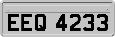 EEQ4233