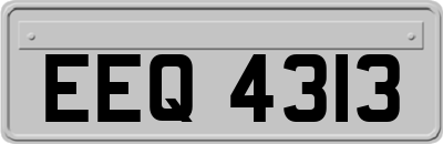 EEQ4313