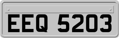 EEQ5203