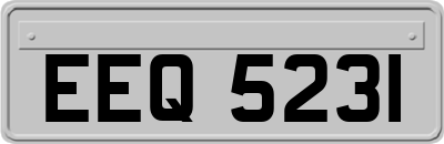 EEQ5231