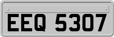 EEQ5307