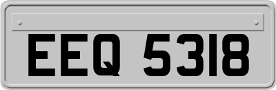 EEQ5318