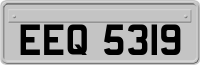 EEQ5319