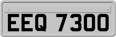 EEQ7300