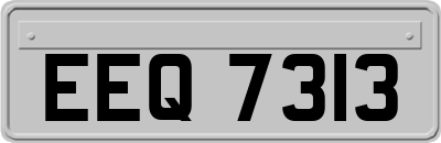 EEQ7313