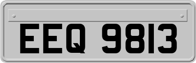 EEQ9813