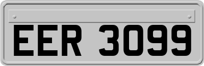 EER3099