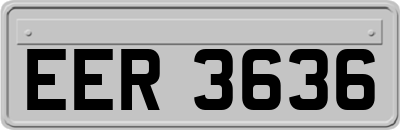 EER3636