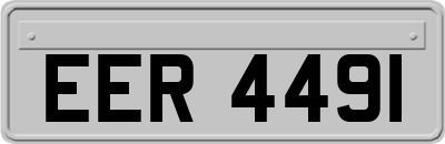 EER4491