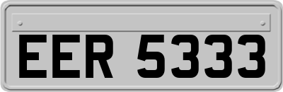 EER5333