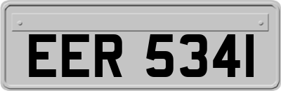 EER5341