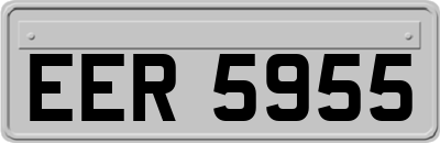 EER5955