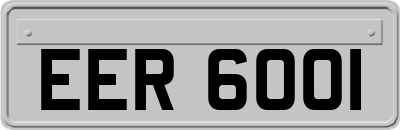 EER6001
