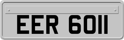 EER6011