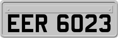 EER6023