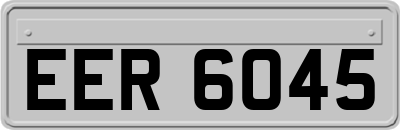 EER6045